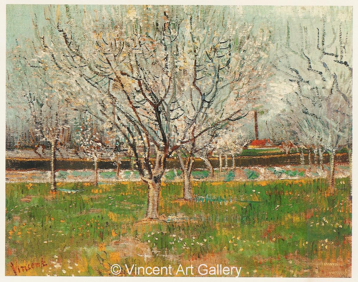 JH1387, Orchard in Blossom (Plum Trees)